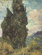 Cypresses (nn04) Vincent Van Gogh